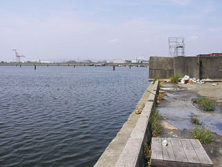 wakayama-unknou3.jpg