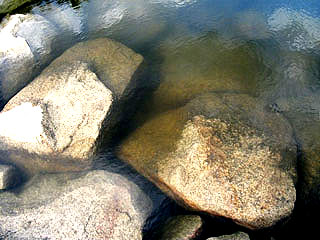 yakura2010-13.jpg