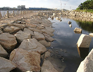 yakura2010-18.jpg
