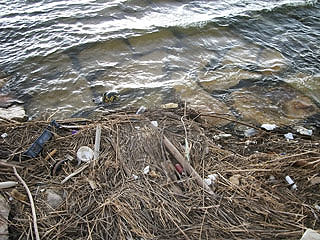 yakura2010-22.jpg
