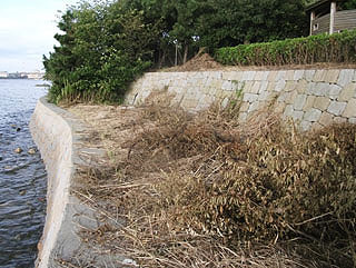 yakura2010-25.jpg