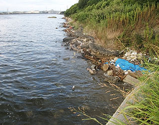 yakura2010-26.jpg