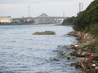yakura2010-27.jpg