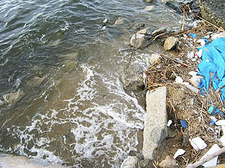 yakura2010-28.jpg
