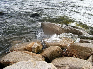 yakura2010-6.jpg