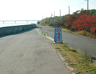 yakura4.jpg