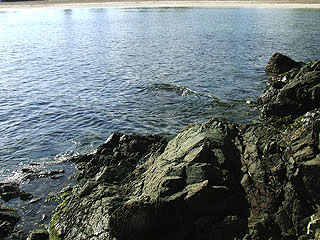 yamasiro20.jpg