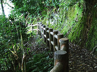 yamasiro25.jpg